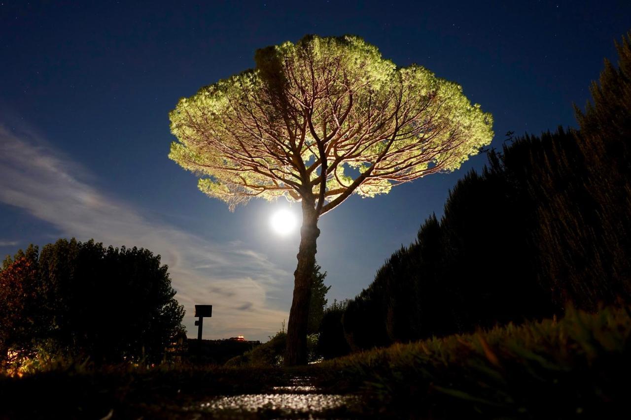 Agriturismo Buon Riposo - Country Resort In The Heart Of Tuscany San Giovanni a Corazzano Екстериор снимка