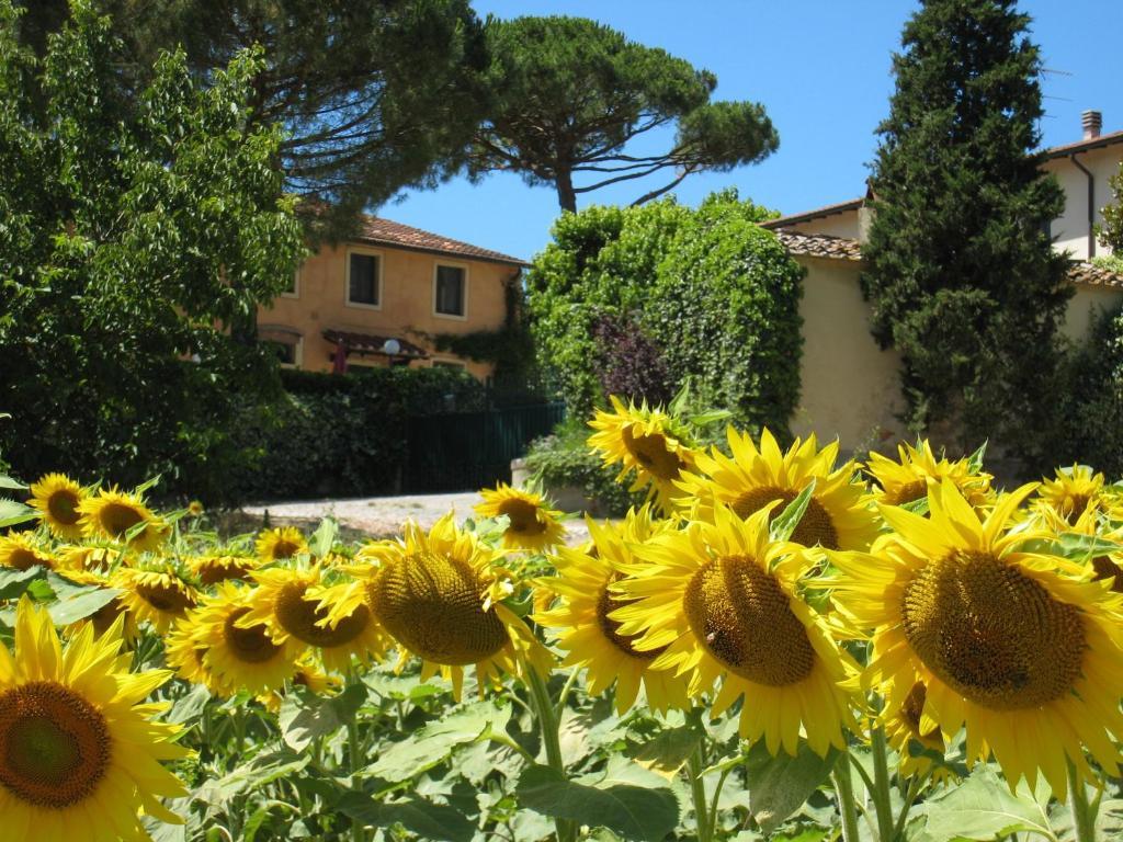Agriturismo Buon Riposo - Country Resort In The Heart Of Tuscany San Giovanni a Corazzano Екстериор снимка