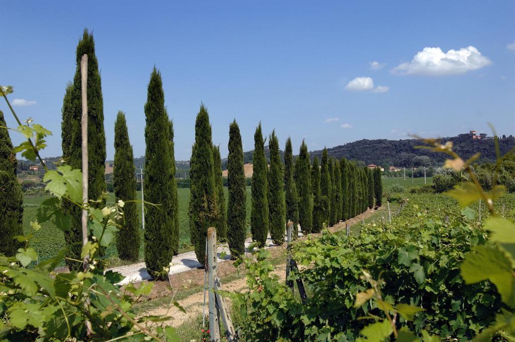Agriturismo Buon Riposo - Country Resort In The Heart Of Tuscany San Giovanni a Corazzano Екстериор снимка